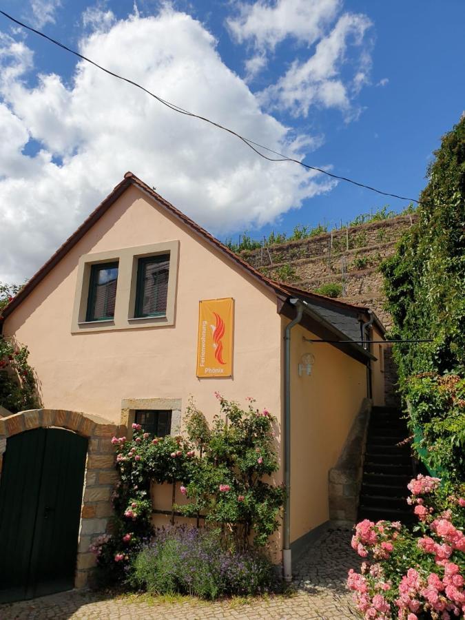 Unterkunft Am Weinberg Nunchritz Exterior photo